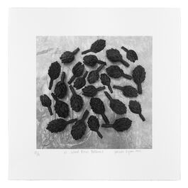 Veronica Ryan, A Wind Blows Patterns I, 2022